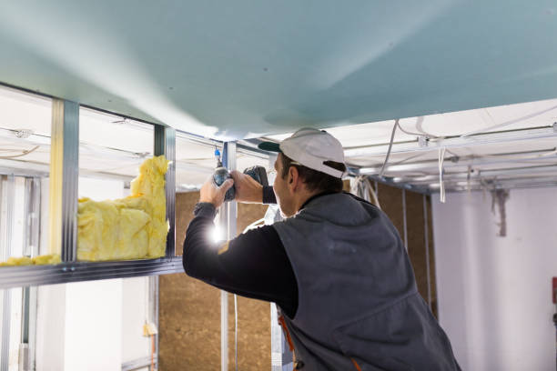 Best Types of Insulation in Milpitas, CA