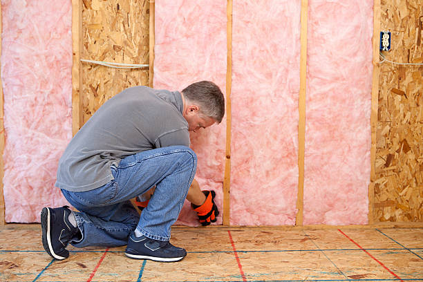 Best Insulation Maintenance and Repair in Milpitas, CA